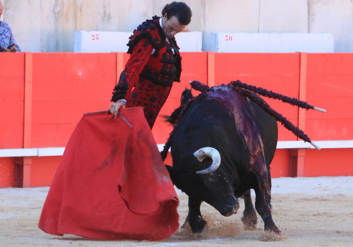 cultorocom's tweet photo. El toreo de @JSFino esta tarde en Nimes, tras el objetivo de @MurielHaaz https://t.co/6FVHJU3cI3 https://t.co/JhFDpeBOFi