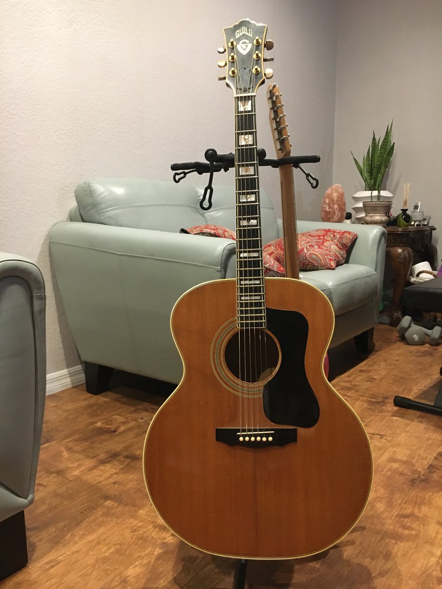 soundexchangeoc's tweet photo. Rest day at Sound Exchange. #soundexchangeusa #sundays #rainydays #lazydays #dogdays https://t.co/Z1Su3cZ7BT
