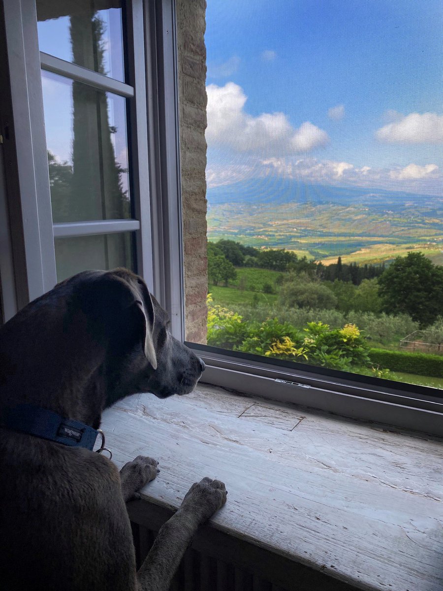 Rachael Ray tweet media