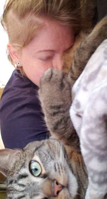 WHOLESOME https://t.co/1KDhYaIyWZ<a href="/tag/freebritney"class="tags"><span>#freebritney</span></a><a href="/tag/investigateloutaylor"class="tags"><span>#investigateloutaylor</span></a><a href="/tag/investiga"class="tags"><span>#investiga</span></a>