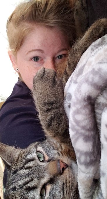 WHOLESOME https://t.co/1KDhYaIyWZ<a href="/tag/freebritney"class="tags"><span>#freebritney</span></a><a href="/tag/investigateloutaylor"class="tags"><span>#investigateloutaylor</span></a><a href="/tag/investiga"class="tags"><span>#investiga</span></a>