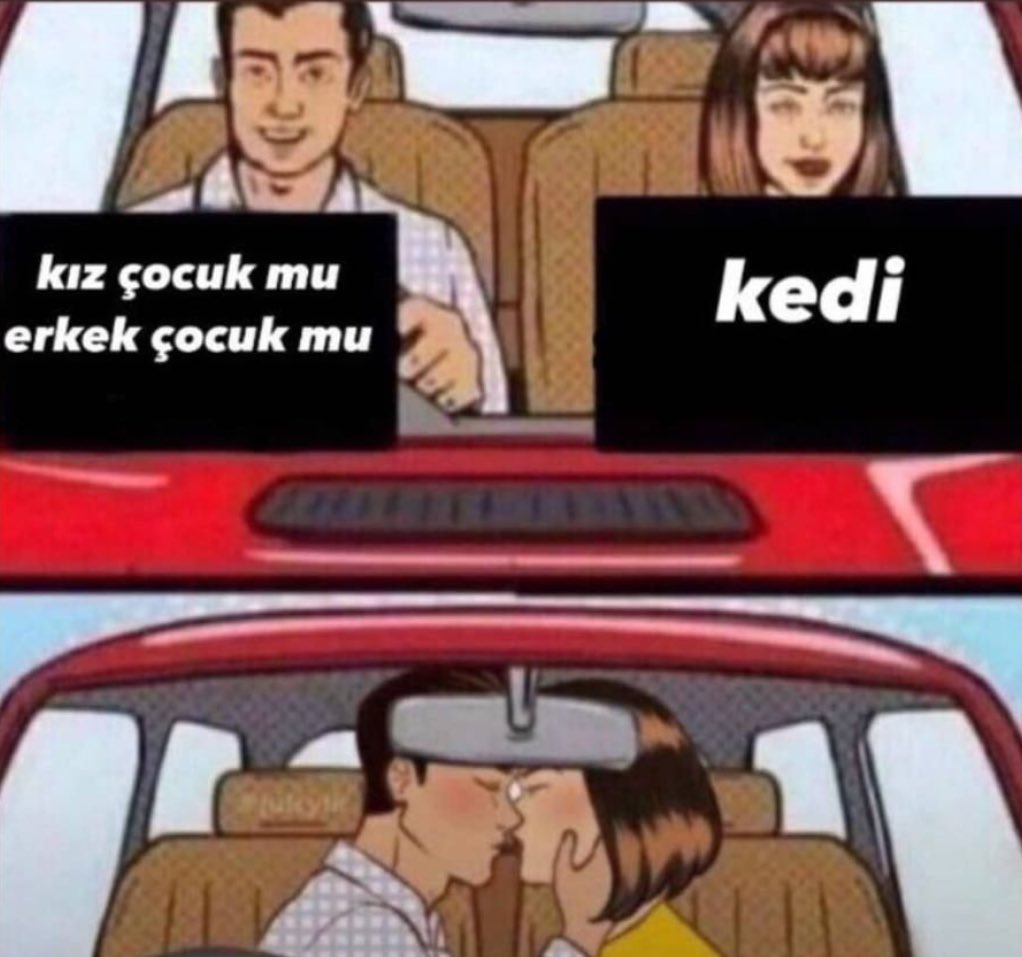 Uygar (@sinirliyizabi) on Twitter photo 