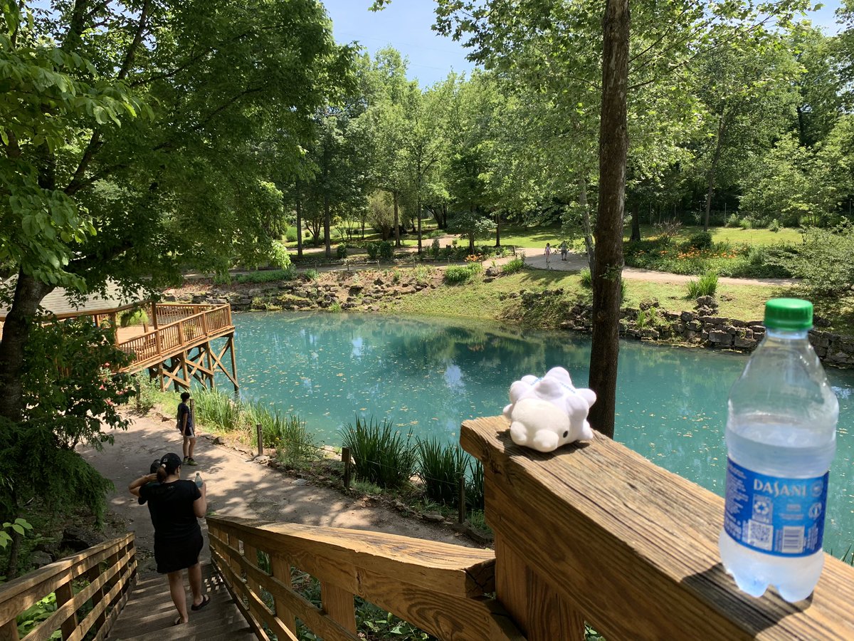 Adventures with snom! Featuring some spring in Arkansas!