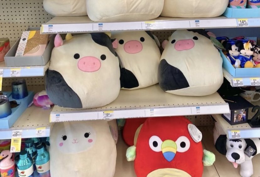 connor squishmallow walgreens