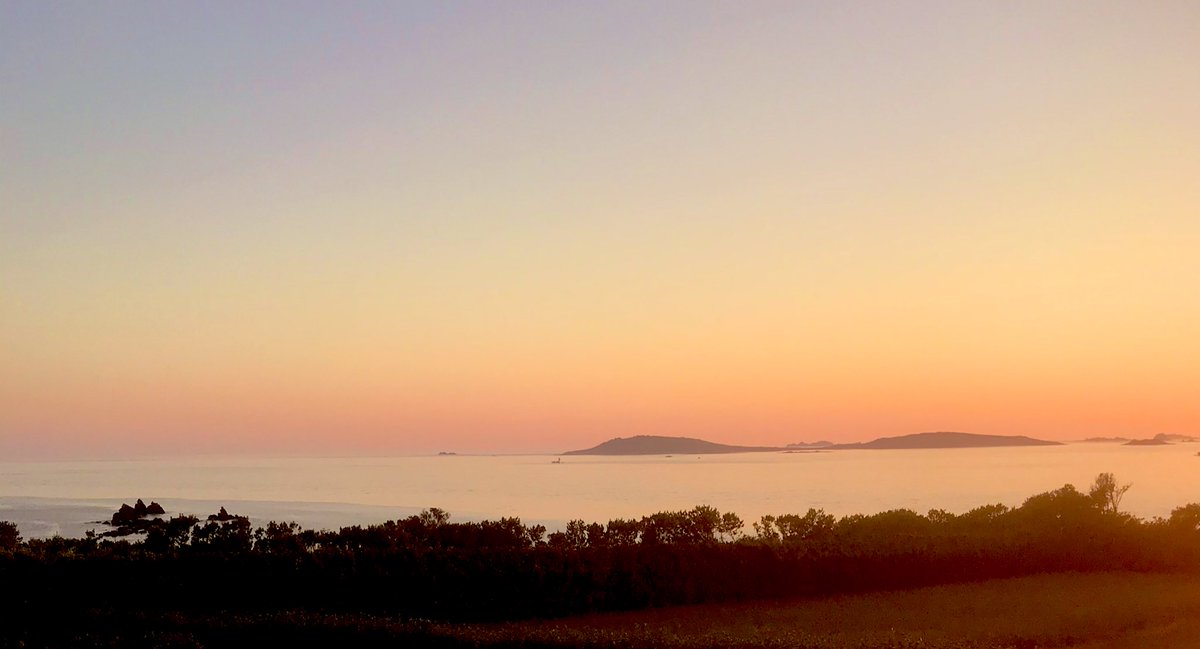 munkrunkey's tweet image. What a sound day