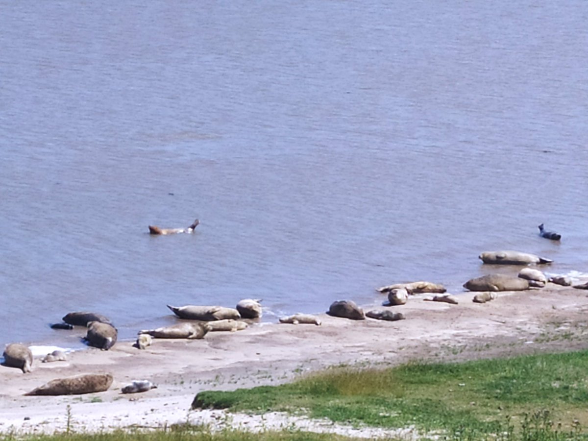 TuinGriet tweet media