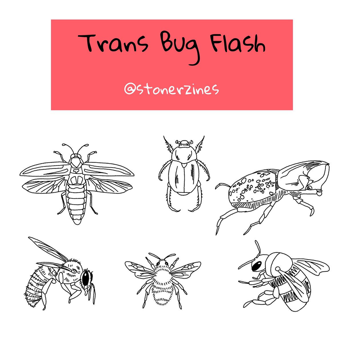 Made a new flash sheet!!! I’m taking $15 commissions for any bug in any pride flag colors! DM me to claim one!