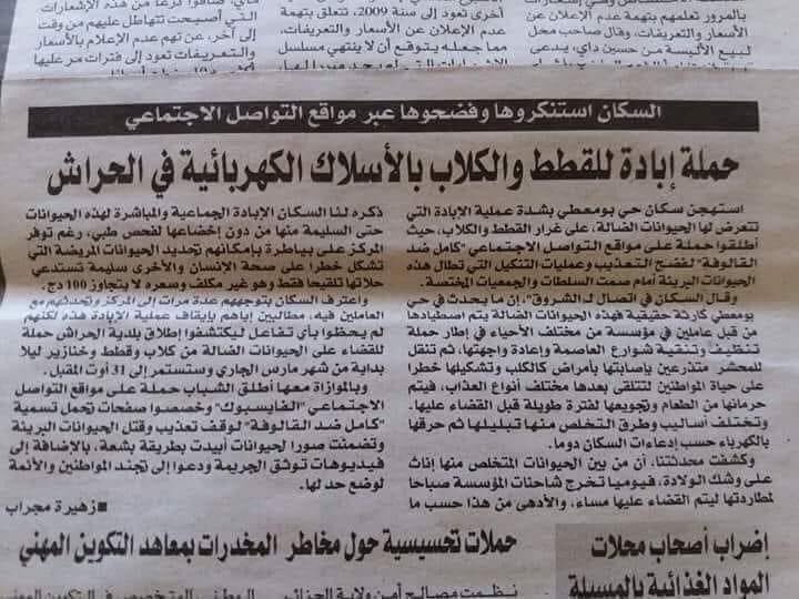 shery_ifa's tweet photo. #stop_galoufa_en_algerie https://t.co/qJo5aVDv7g