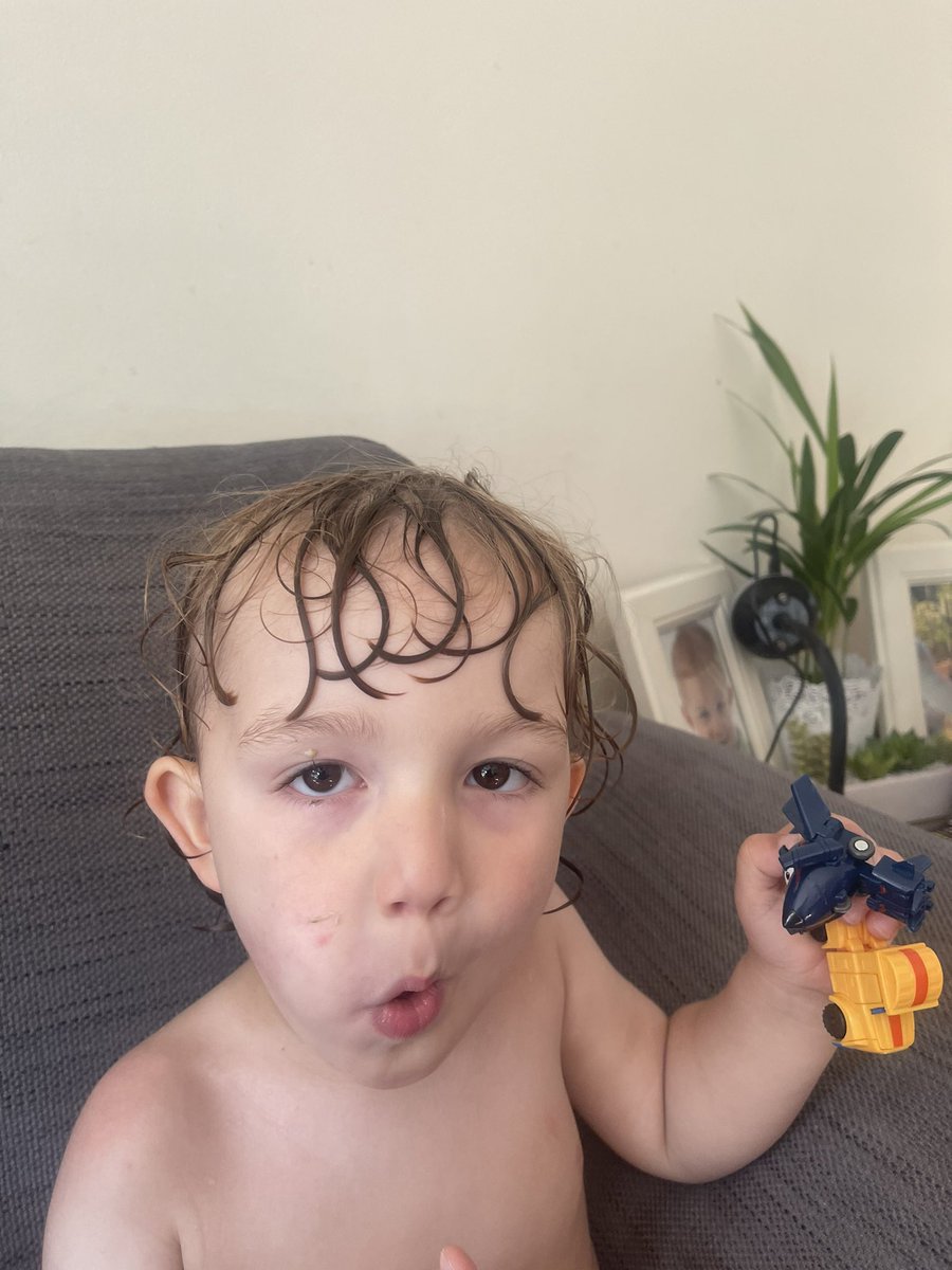Andy_J_Mayar's tweet photo. The yearly tweet of the strawberry patch is here, going strong this year. First one kicked and eaten by the master strawberry taster, to which he said was nice. 
#Strawberries #mastertaster
#summershere https://t.co/JtjUKfmoFN