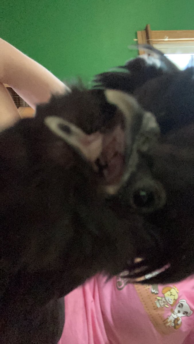 I love you miss chicken 🥺❤️