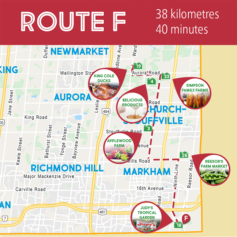YorkFarmFresh's tweet image. Route F stretches from Markham to Stouffville with pick your own vegetables, strawberries, honey, produce and duck.

#Passporttofresh #localfoodweek #visitydh