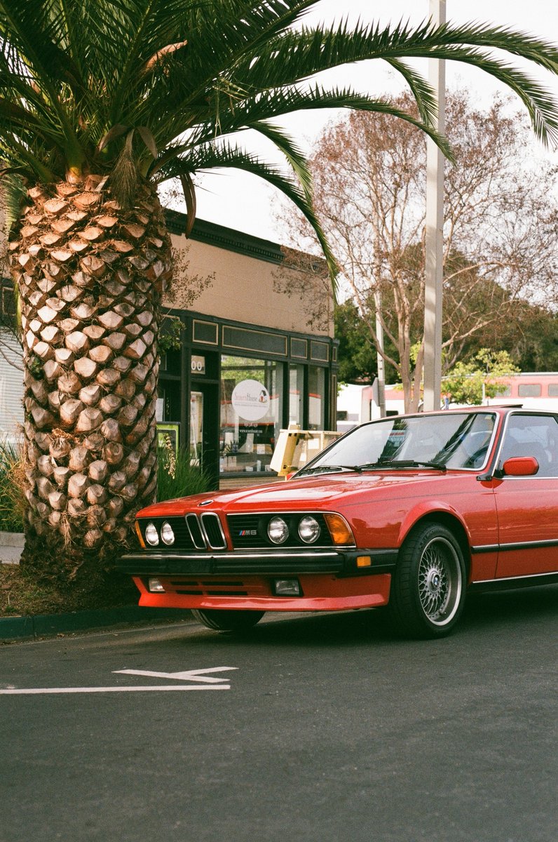 d i s t r a c t e d tweet media