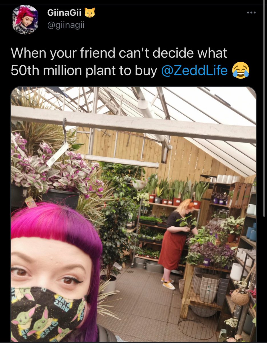 ZeddLife's tweet photo. It’s been a wild weekend.
Wine, BBQ’s, my best friend, plant shopping 🌿 and my first attempt at indoor climbing. My forearms feel like I’ve completed a 100 hour wanking loop.
#winnerweekend https://t.co/DEPlejktnr