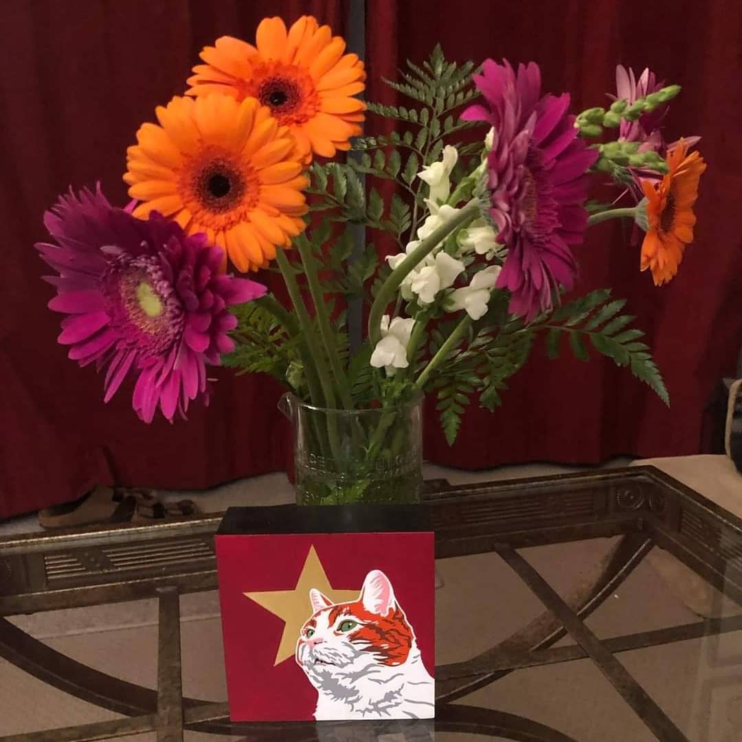 ShowMeTheTuna's tweet photo. Yesterday we said goodbye to our sweet Joey. He was happy to the end and passed peacefully with us and our vet at home. We’re heartbroken and miss him so much but thankful we had so many wonderful years with him. #overtherainbowbridge https://t.co/brXmTCjIoo