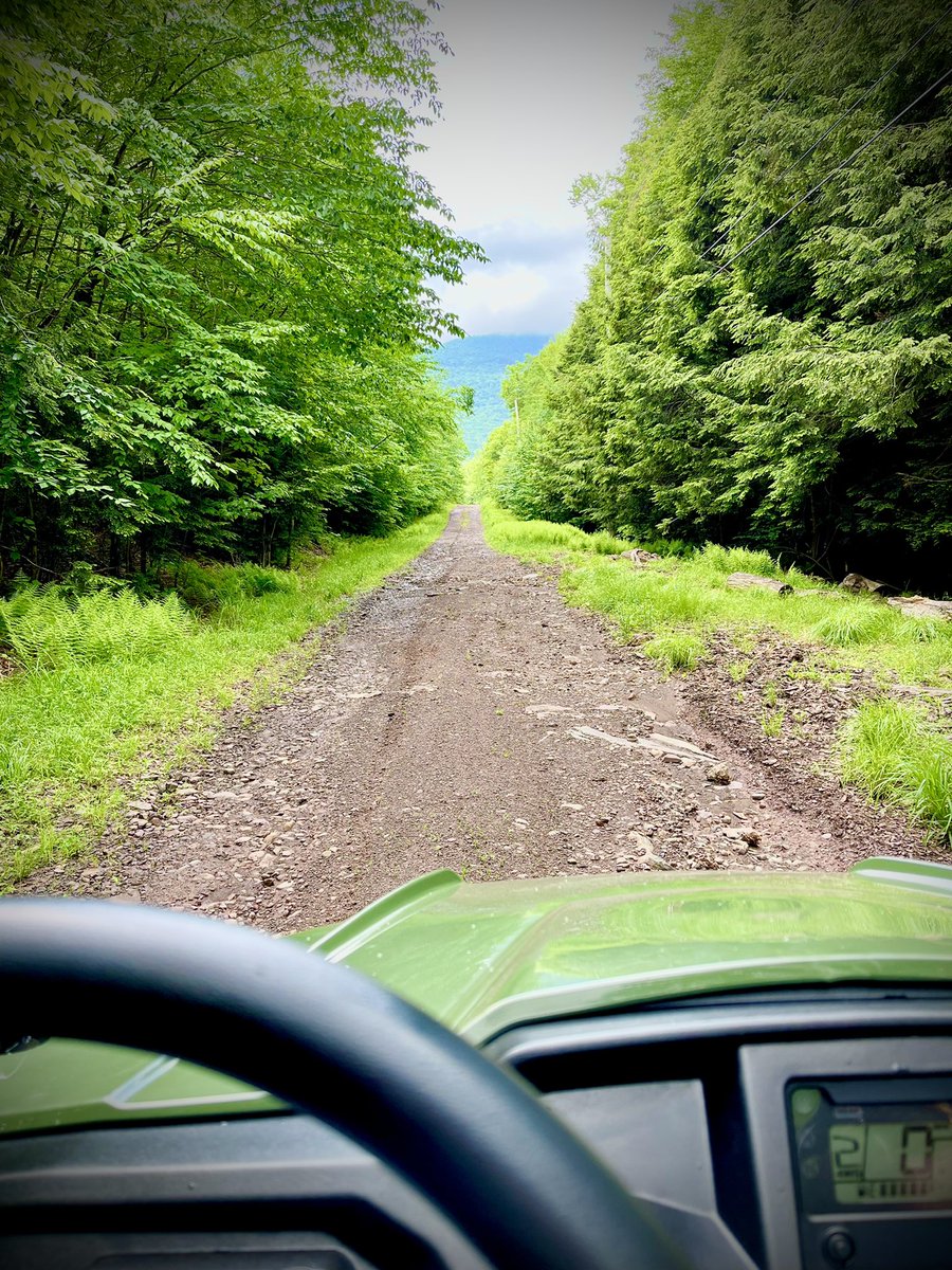 positivepaulyb's tweet photo. What a weekend! #Pioneer520 @HondaPowersprts #HondaPioneer #EastJewett #Upstateofmind #UTV https://t.co/T7aUi0C2Wu