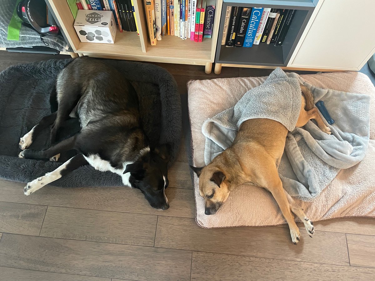 Hsing-Hui Hsu tweet media