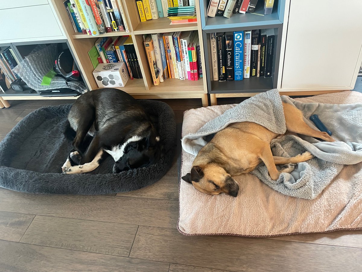 Hsing-Hui Hsu tweet media