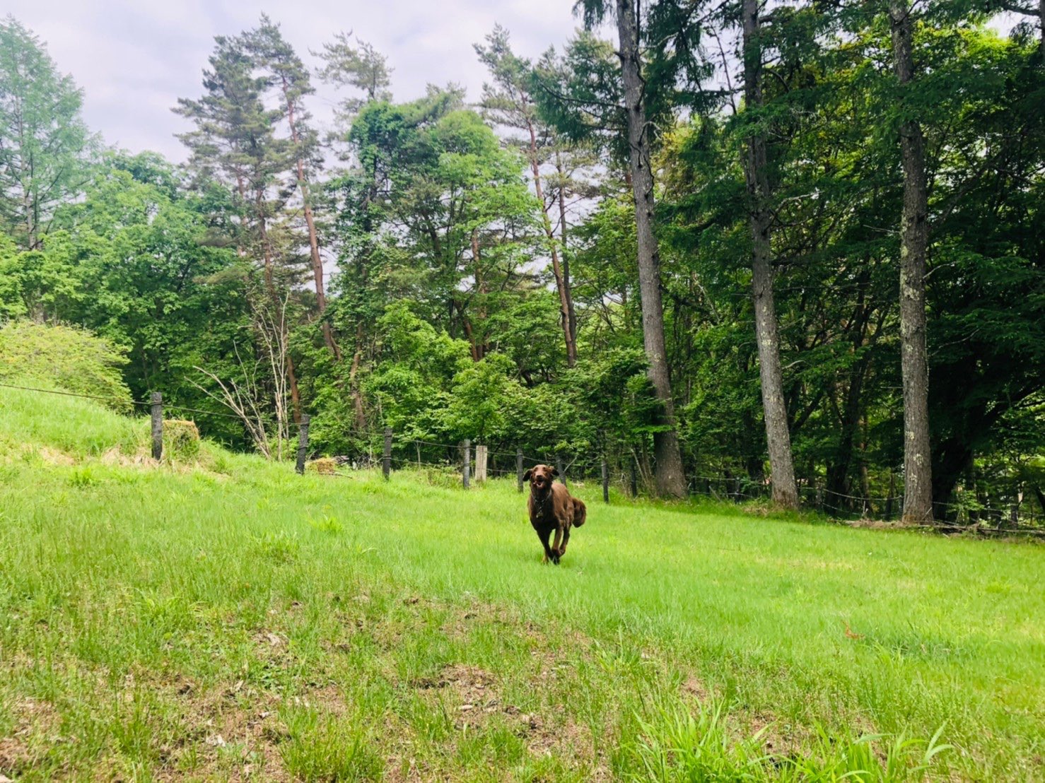 中井貴惠/Nakai_Kie on Twitter 