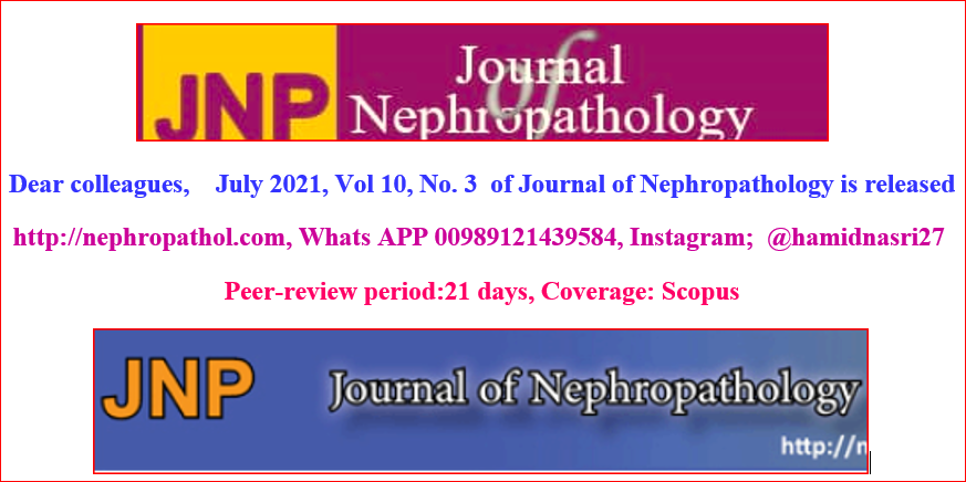 HamidNasri16's tweet photo. #pathology #nephropathology #nephrology #kidney #renal #nephropathol https://t.co/PuMuumUxaE