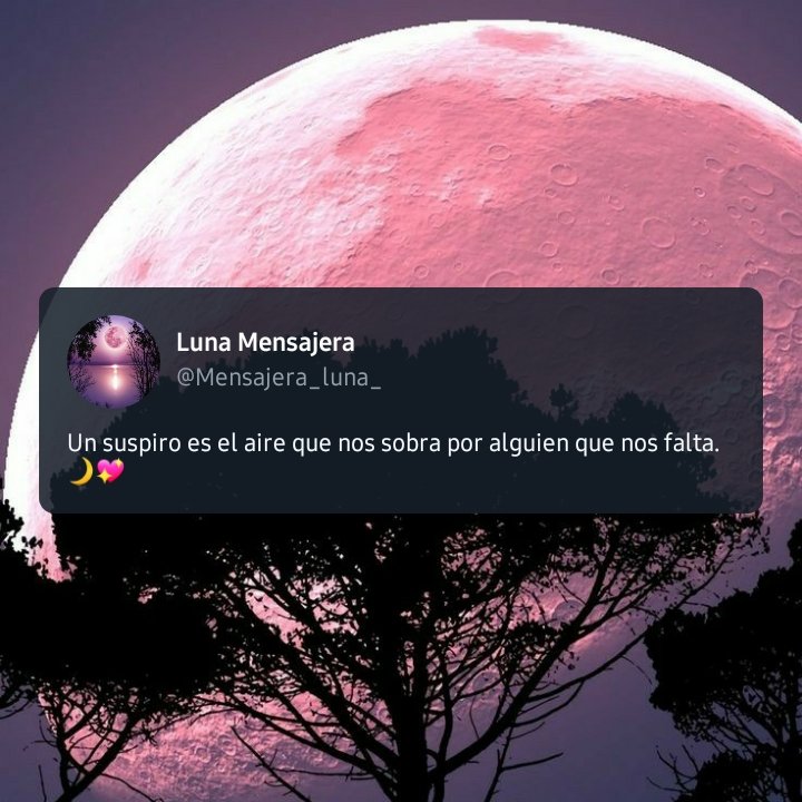 تويتر \ Luna Mensajera على تويتر: 