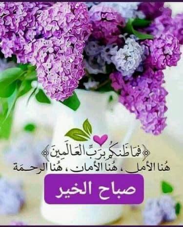 صريح tweet media