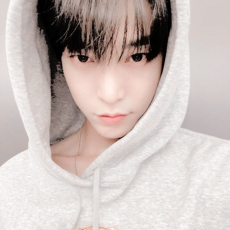 ƙεŋziε zεvαᥣᥣo tweet media