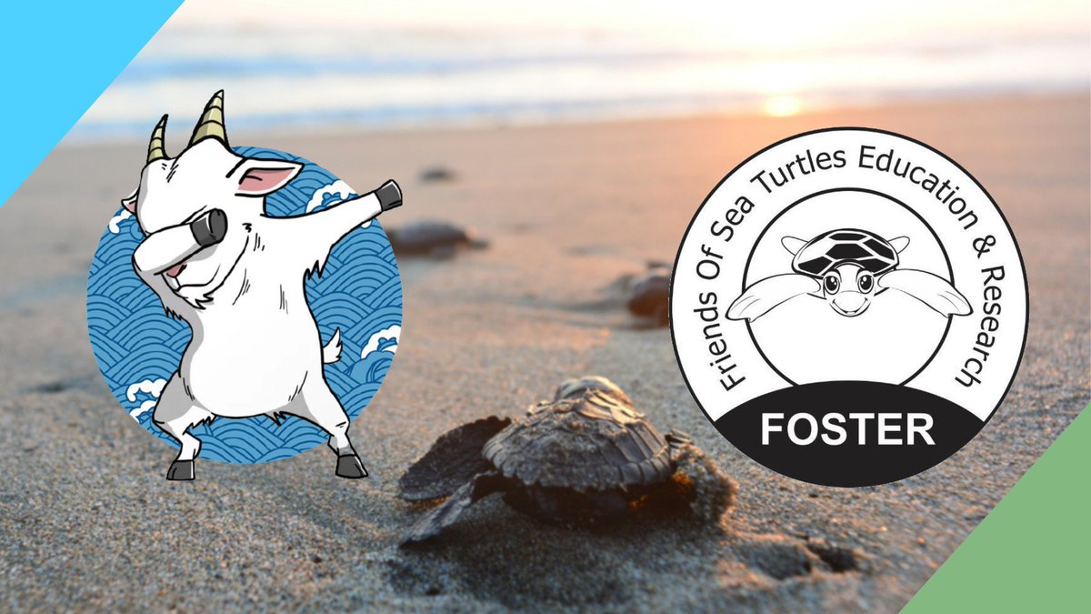 AquaGoat officially partners with FOSTER to create an AquaGoat wallet for HODL-ing, plus sponsoring a turtle hatchery and beach cleaning on the beaches of Libaran Island. Read more on Medium:

aquagoatfinance.medium.com/aquagoat-offic…