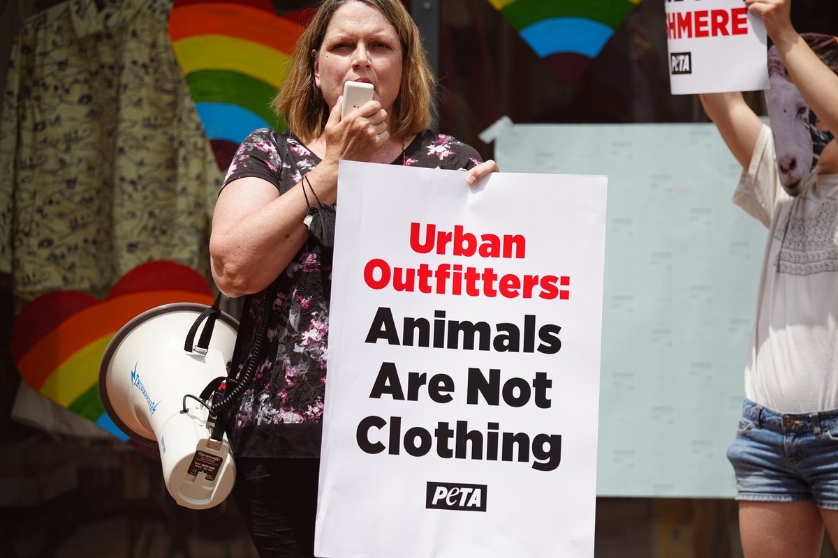 peta's tweet photo. Take notes, @UrbanOutfitters. https://t.co/hlwfEzTfpA