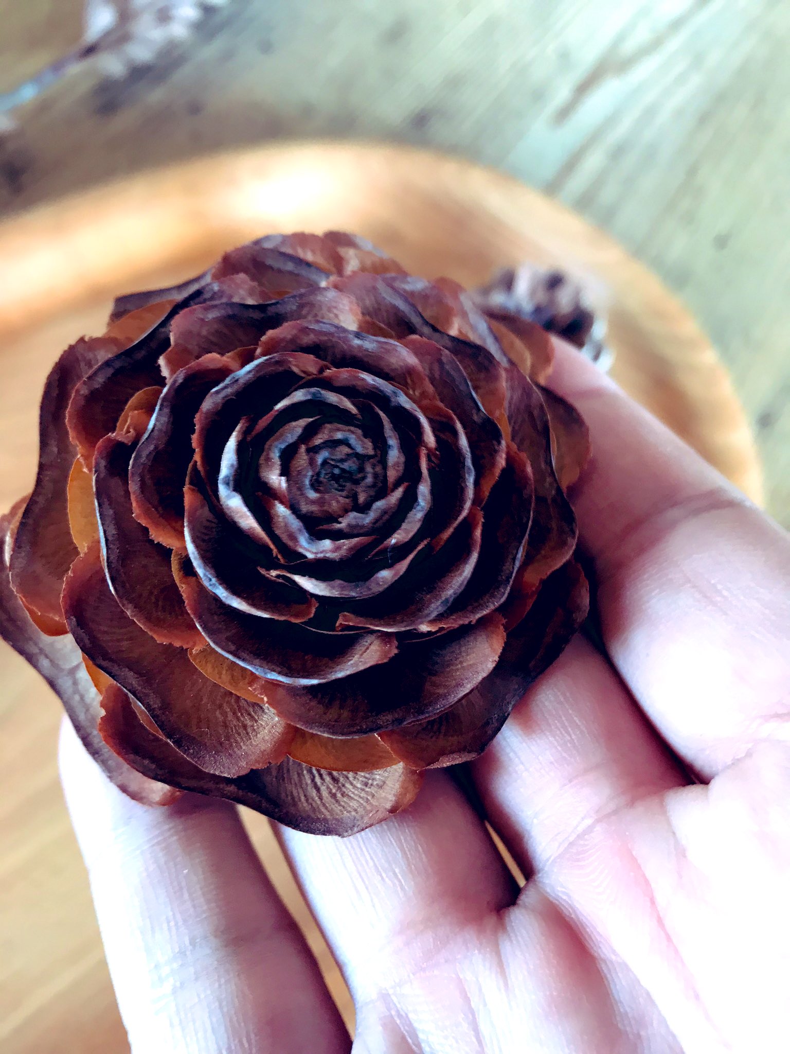 ナカムラクニオ Kunio Nakamura スターローズって名前なんですよ 星のバラ という話を 塩竈で したのですが 正解には シダーローズ ヒマラヤ杉 の松ぼっくり でした チョコレートのバラにしか見えないけど T Co Tu2jw7d99q