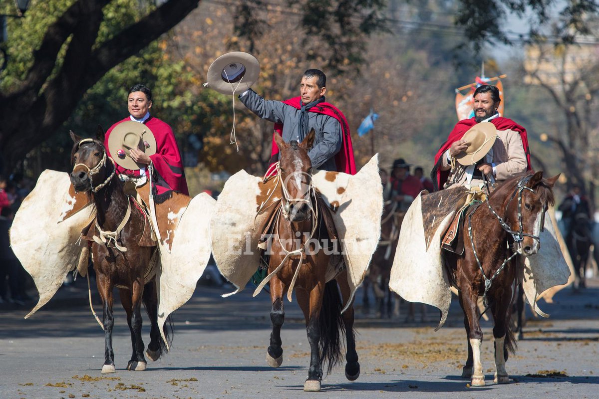 SALTA | Crece el repudio a que haya una marcha patriótica por Güemes
bit.ly/2U2aK6O