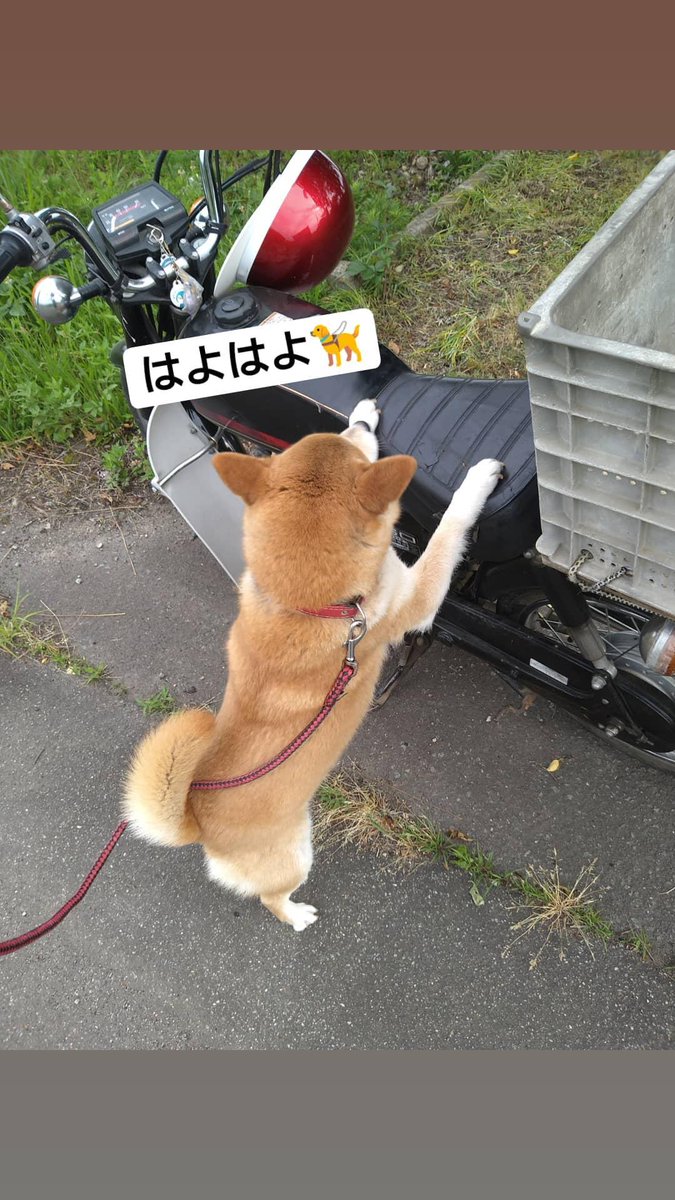 飛行機耳 飛行機耳