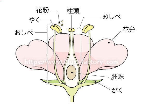理科のtwitterイラスト検索結果