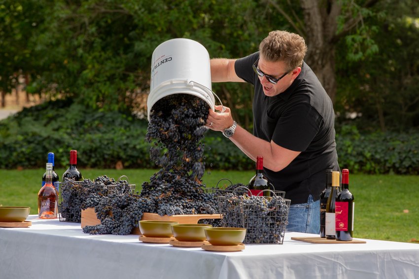 This week The #GreatFoodTruckRace heads to Napa! RT if you're watching with us! 🍷