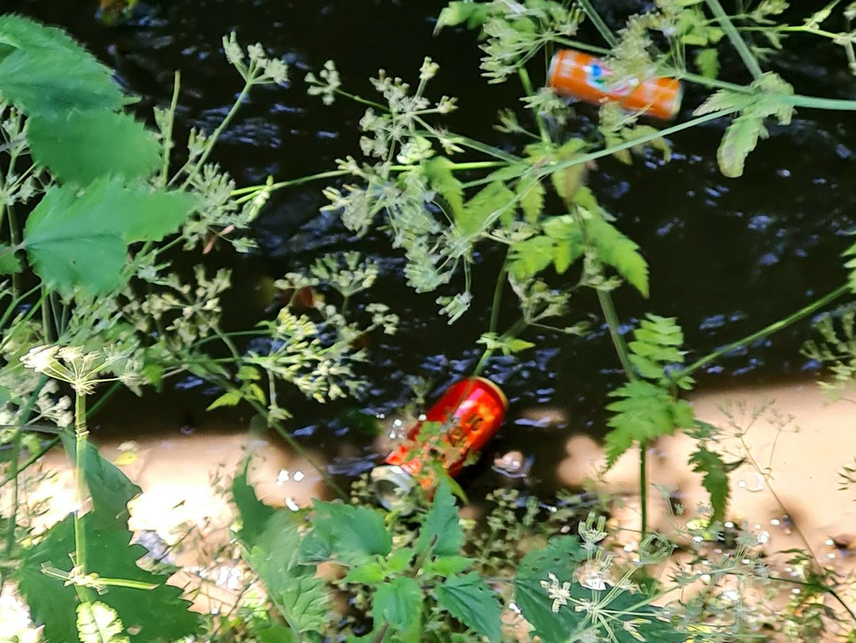 NadiaMezrar's tweet photo. #Cleanwalk sur les bords de l'#Oison notre cours d'eau à Saint-Pierre-lès-Elbeuf avec #Ecolomouv Plusieurs sacs remplis par les volontaires de déchets recyclables (ou pas). Nettoyer l'Oison, c'est respecter notre #environnement la #Seine & au bout l'océan #icicommencelamer 🌊 https://t.co/xcvyXPZ8Sd