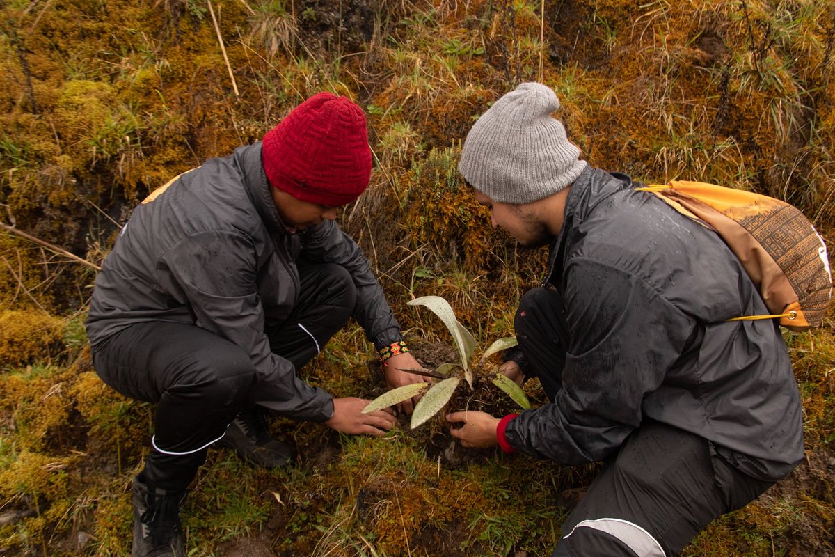 expecondor's tweet photo. ¡#ENVIVO! 😎 ¡Capítulo final! 🔥 🇨🇴

🏆¡Conéctate con nuestro último episodio de la #ExpediciónCóndordelosAndesJet! 

[ @chocolatesjet  #BuscandoElDorado] https://t.co/1nsf6WQEZG