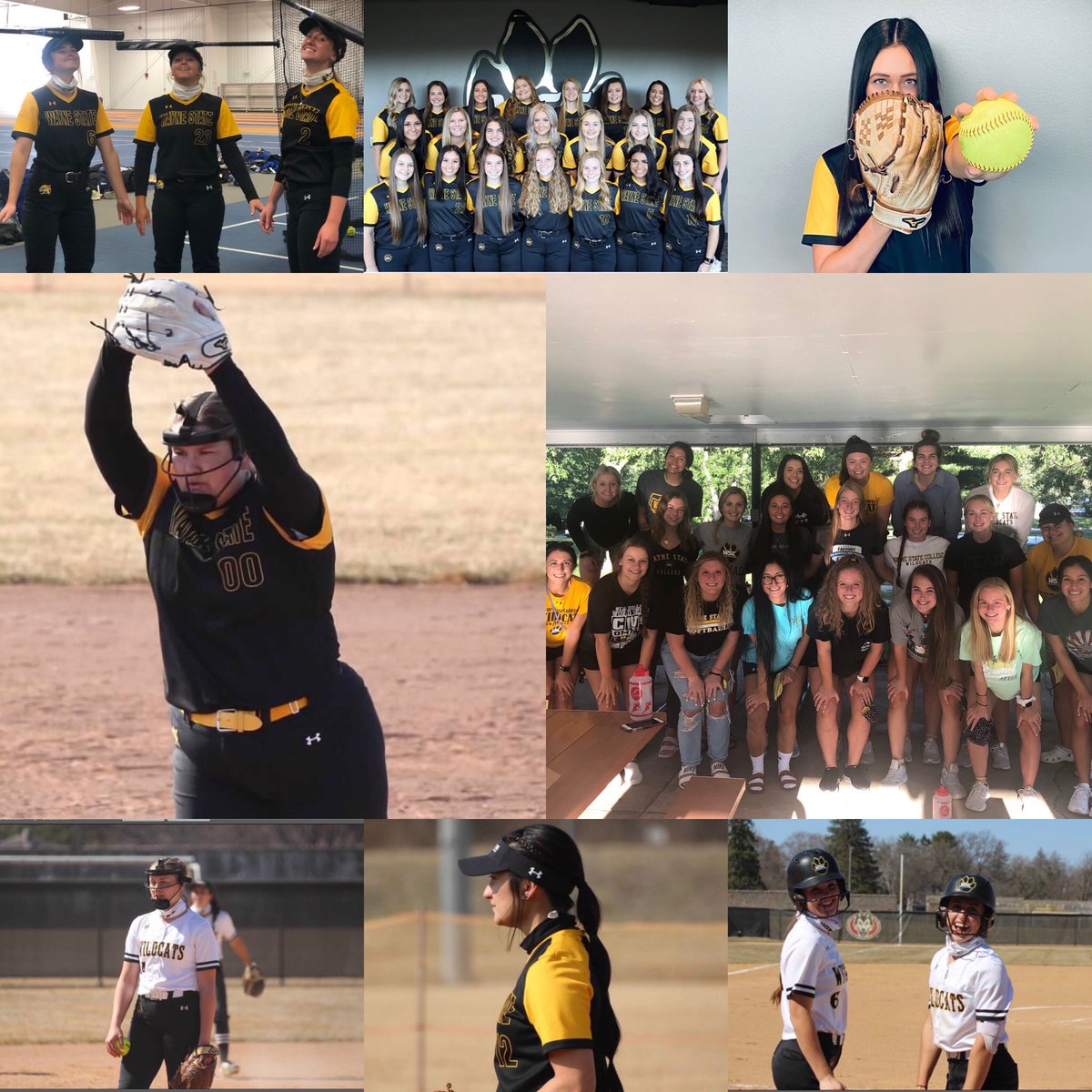Happy #WorldSoftballDay to the sport that brings us together as a 2nd family, teaches us to be strong, resilient, selfless, independent women. The endless memories, laughs, hugs, tears, smiles, &amp; HR celebrations. But most of all the FUN! Love these ‘Cats to pieces.