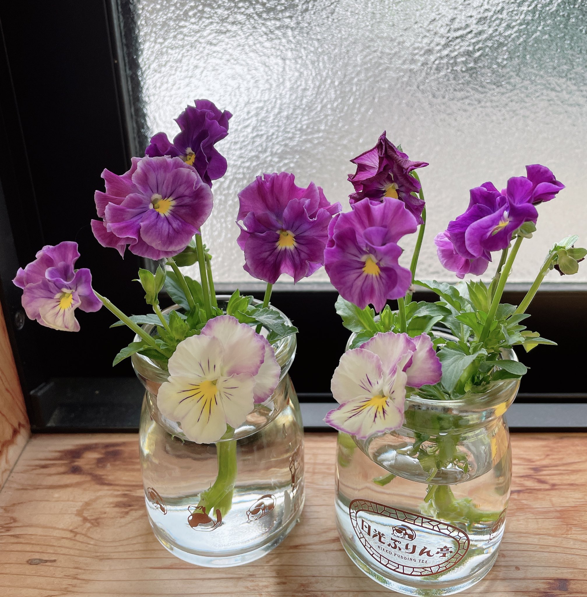 日光の家 大和木材 今朝剪定 というには雑な した たぶん ビオラを切り花として飾りました この前食べたプリンの容器 に 伸びた花生けるの 実家感あるな 笑 T Co Ozgwutkjaj Twitter