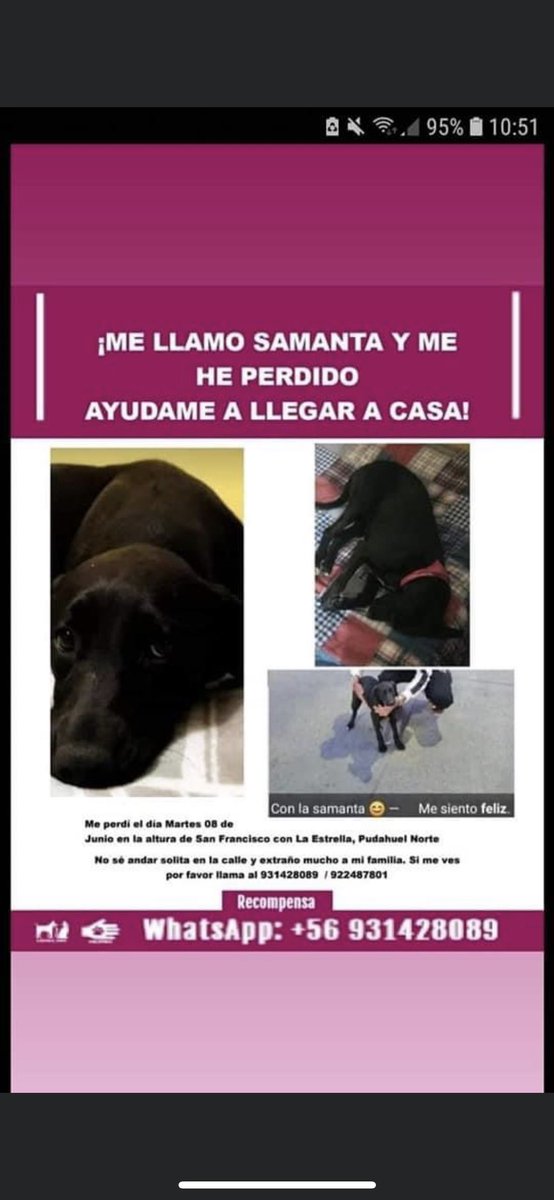 urrutia_sonia's tweet image. URGENTE SAMANTA PÉRDIDA, LA VIERON EN UNA MICRO, SE BAJÓ EN EL 28 DE SANTA ROSA 🙏🙏
@patrmarsh @kattykowaleczko @KarendTV @jrdevices @pancha1107 @carolinapinoc @KathySalosny