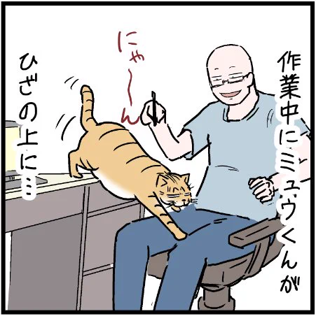 それはさすがに無理があるだろうw #ニャンコ #まんが #マンガ #猫  #ねこ #猫あるある #猫漫画 #ペット #飼い主 #エッセイ漫画 #キャット #ねこのいる生活 #漫画 