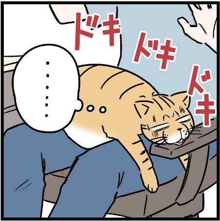 それはさすがに無理があるだろうw
 #ニャンコ #まんが #マンガ #猫  #ねこ #猫あるある #猫漫画 #ペット #飼い主 #エッセイ漫画 #キャット #ねこのいる生活 #漫画 