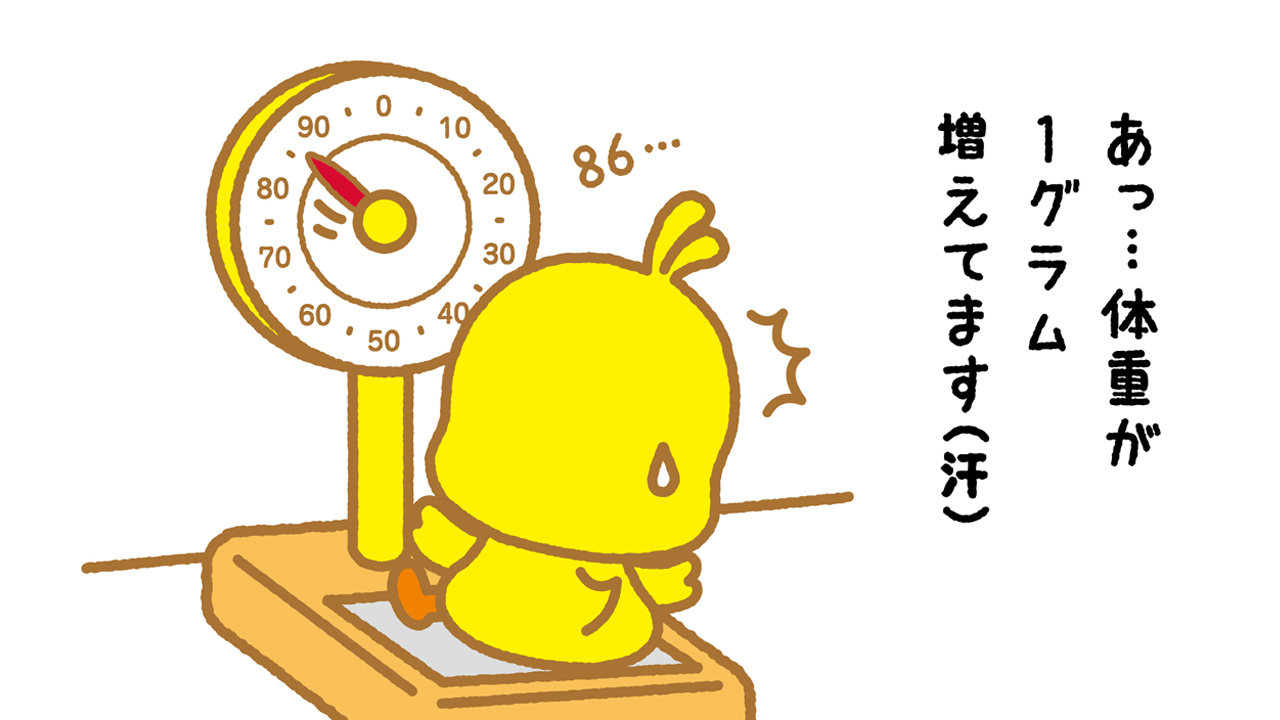 ひよこ 31NYSz1VZBL.jpg_BO30,255,255,