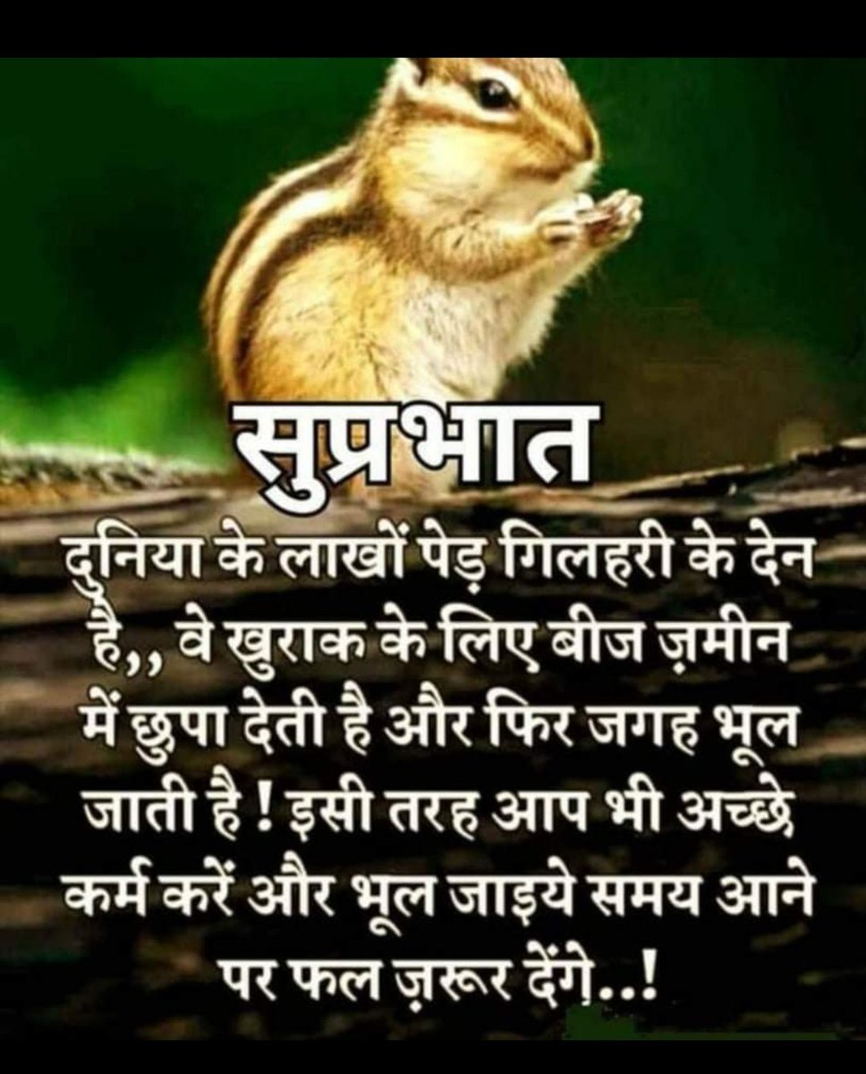 दुनिया के लाखों पेड़ गिलहरी के देन है, वे खुराक के लिए बीज जमीन में छुपा देती है,और फिर जगह भुल जाती है, इसी तरह आप भी अच्छे कर्म करें और भुल जाइये समय आने पर फल जरुर देंगे । <a href="/swabhimani1/">Shifted to @drjaideeparya</a> <a href="/Sanjivani_MPYS/">Sanjivani_MPYS #SocialYogi</a> <a href="/Nikita_mpys/">Nikita Trivedi @ MPYS</a> <a href="/UshaBhagat16/">Usha Bhagat 🇮🇳राष्ट्रभक्त सोशल-योगीनी।</a> <a href="/EklureBasawa_YB/">Basawaraj Eklure</a> @sharanegouda828 <a href="/JayaKanwar5/">जया कवंर</a>