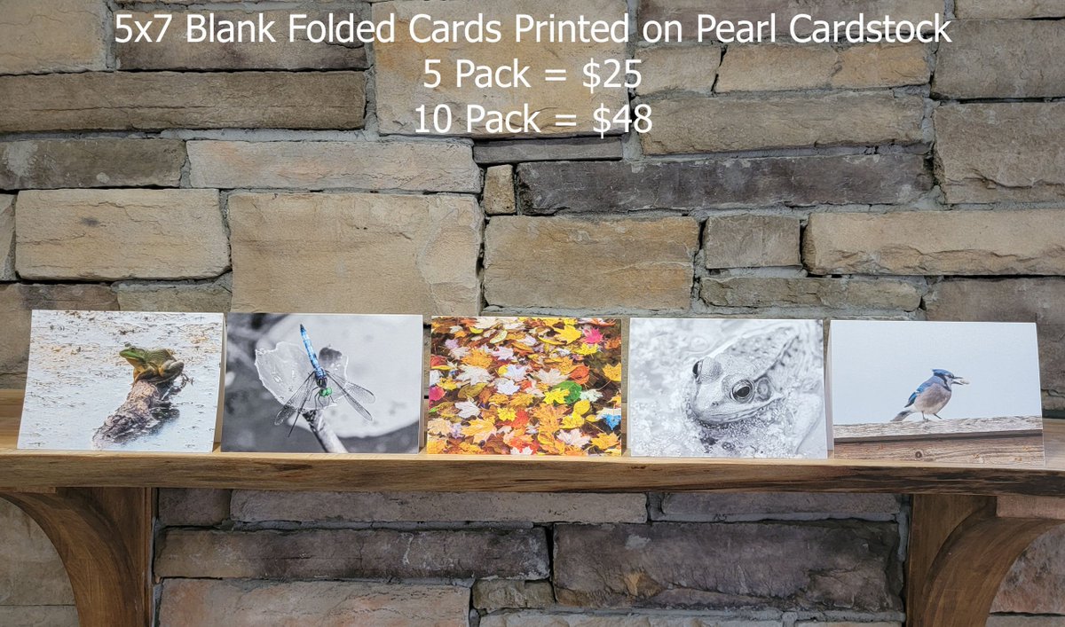 JasonMcSpadden's tweet photo. Nature Greeting Cards - 5x7 folded card - blank inside to allow for personalization.  Printed on pearl cardstock.
#Nature #greetingcard #thankyoucard #wildlife #frog #dragonfly #autumnleaves #bluejay #birds #photography #local https://t.co/XaNwYHLGSZ