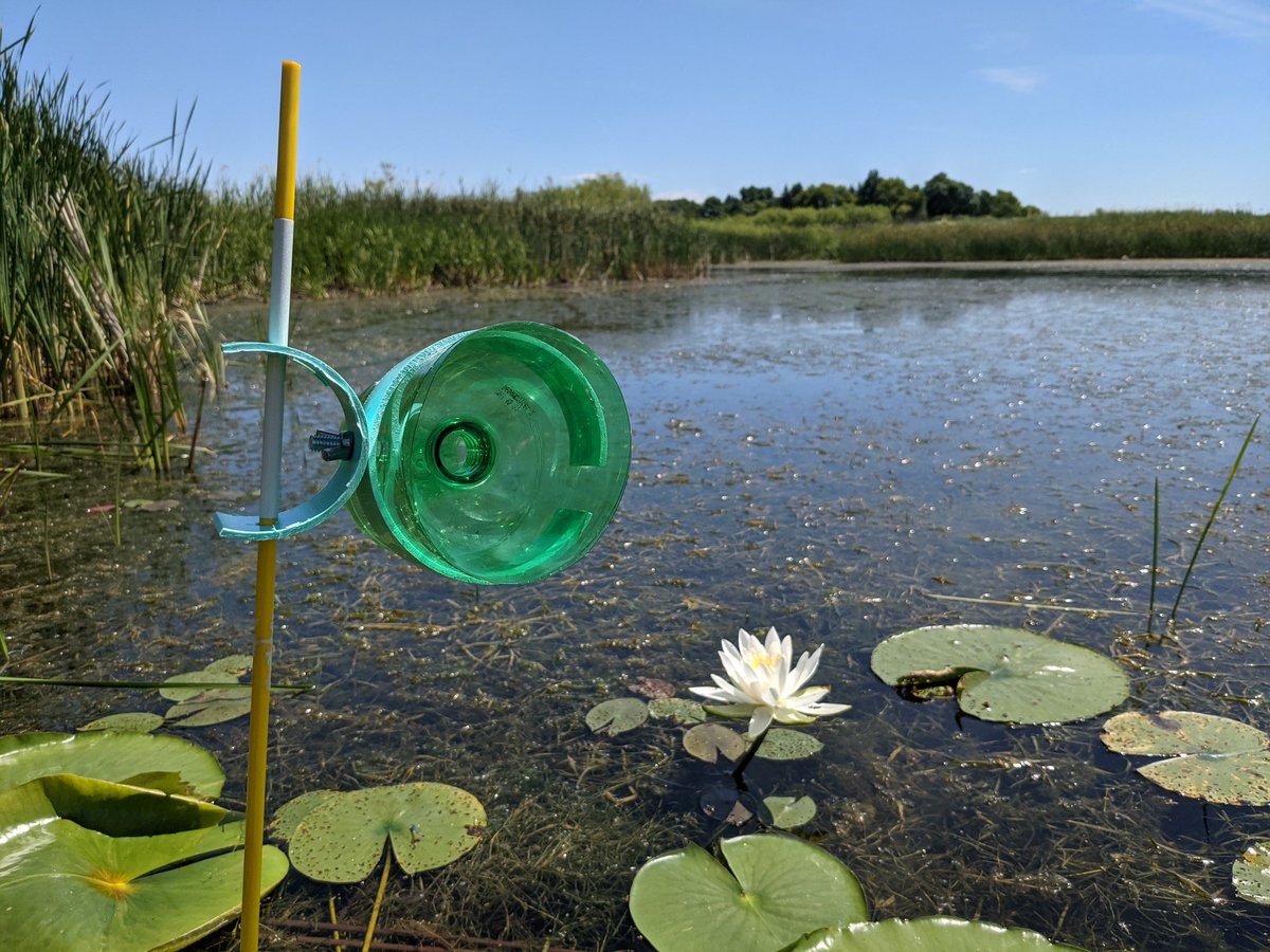 PriorSpringWD's tweet image. #Macroinvertebrates are great indicators of long-term health of #wetlands and other waterbodies.
Last week, we collected macroinvertebrate samples from 5 wetlands in the District. The creatures are being preserved and will be identified to determine a wetland health score!