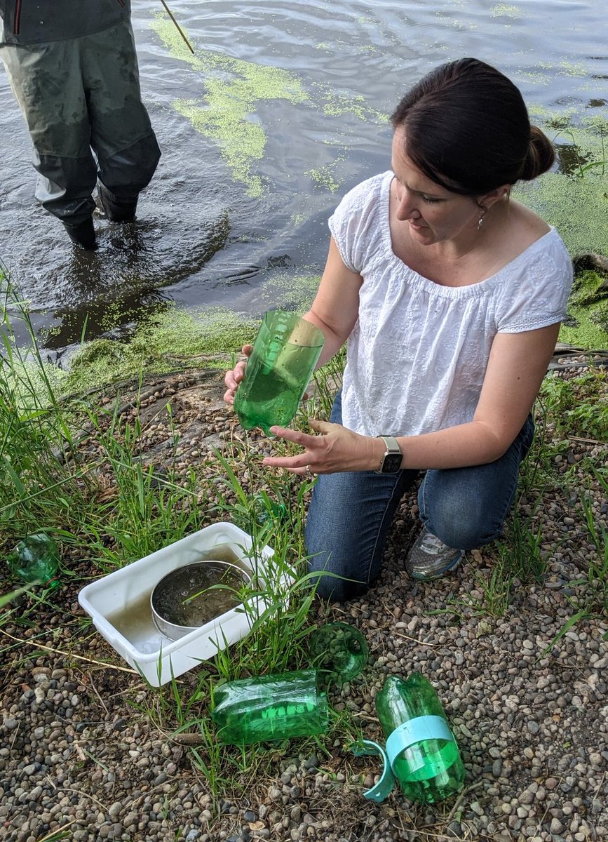 PriorSpringWD's tweet image. #Macroinvertebrates are great indicators of long-term health of #wetlands and other waterbodies.
Last week, we collected macroinvertebrate samples from 5 wetlands in the District. The creatures are being preserved and will be identified to determine a wetland health score!