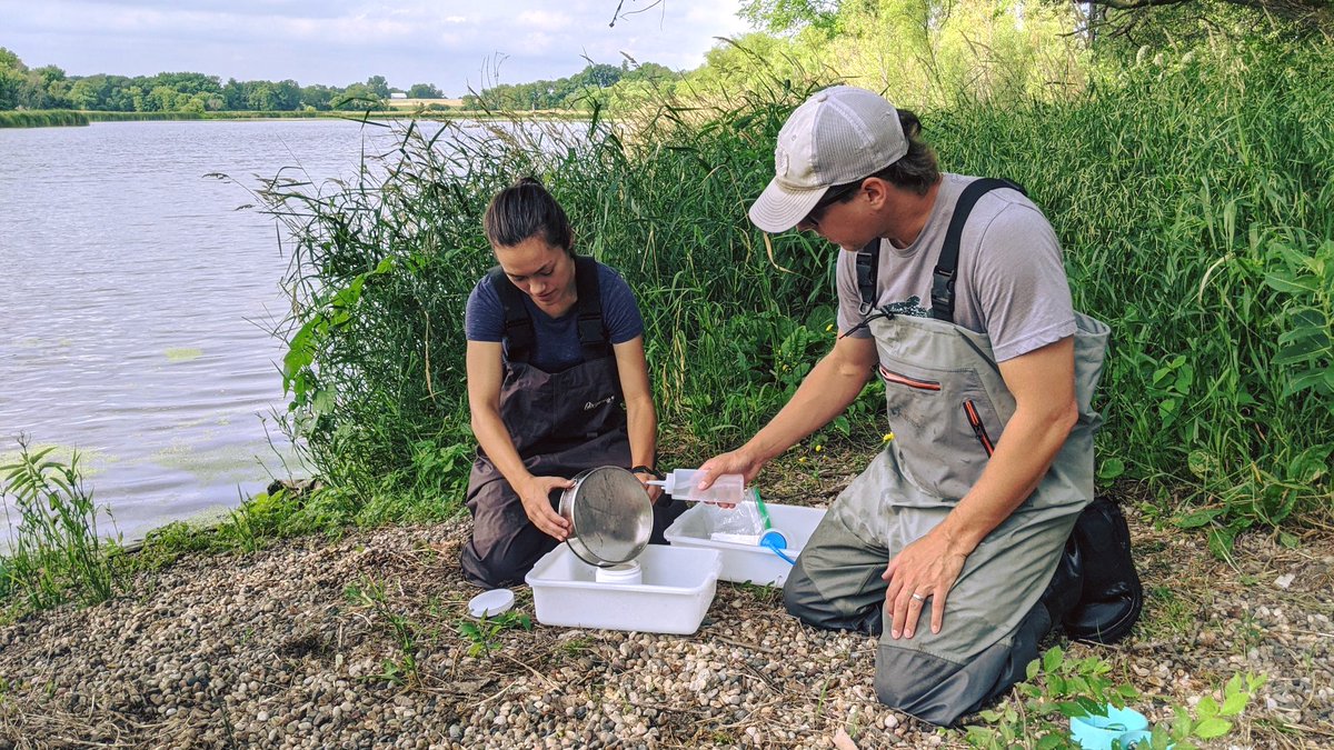 PriorSpringWD's tweet image. #Macroinvertebrates are great indicators of long-term health of #wetlands and other waterbodies.
Last week, we collected macroinvertebrate samples from 5 wetlands in the District. The creatures are being preserved and will be identified to determine a wetland health score!