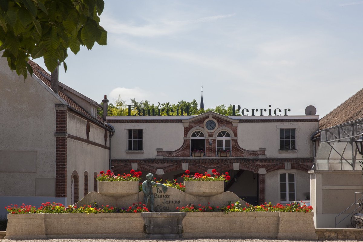 SommFoundation tweet media