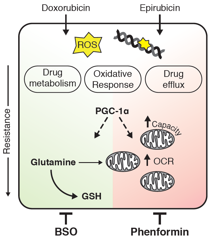 Shawn McGuirk tweet media