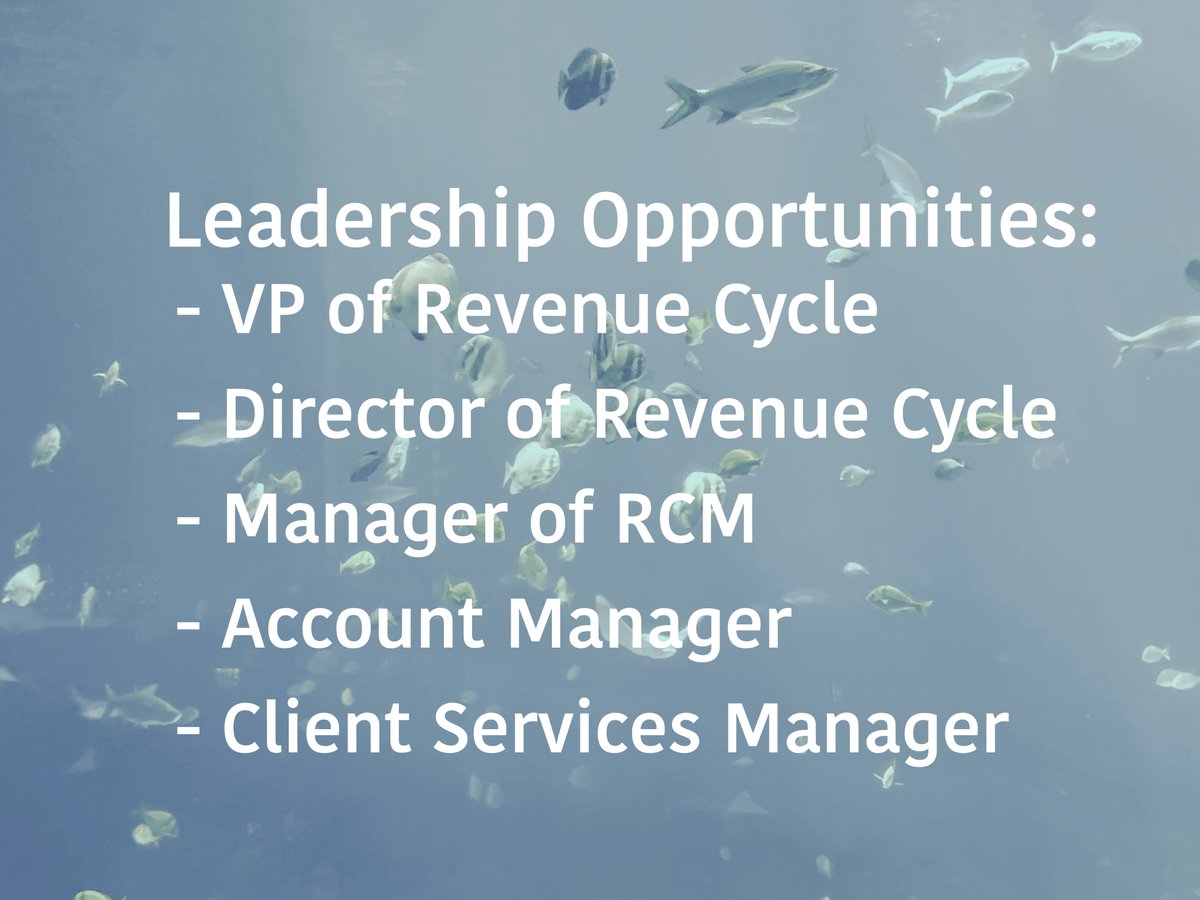 CTERecruiting's tweet photo. New Leadership Opportunities! #newjob #HealthTech #healthcare #leadership Contact: Info@CTERecruiting.com https://t.co/8B7oAB8cUq