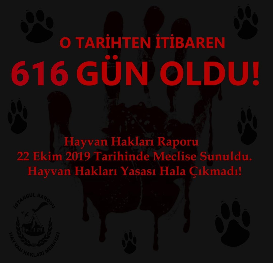 #KaçGünOldu ❓

TBMM #HayvanHakları Araştırma Komisyonunun Raporu, yayınlanalı 616 GÜN oldu!📌 

Ve biz hala Hayvan Hakları Yasasının çıkarılmasını bekliyoruz!📌

(Yasa çıkana kadar "Kaç gün oldu?" paylaşımlarımız, her gün devam edecektir. Paylaşım desteğinizi rica ediyoruz. 🙏🏾)